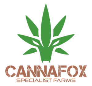 CannaFox Thailand - Premium Cannabis Farm